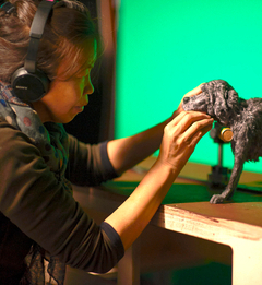 Object animation Kim K 261x240